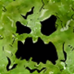 GintaRus
